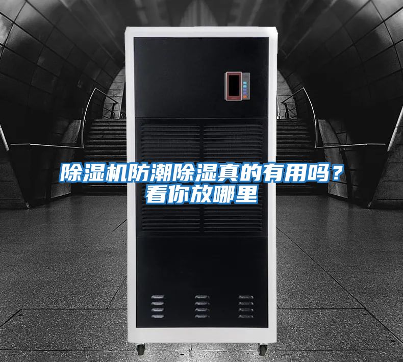 除濕機防潮除濕真的有用嗎？看你放哪里
