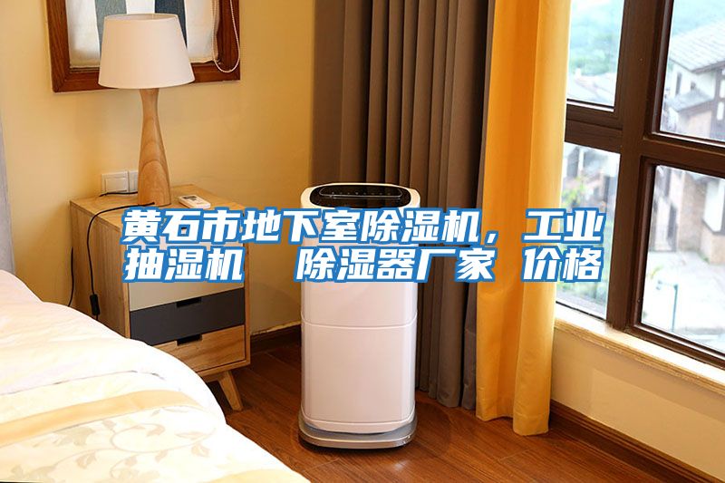 黃石市地下室除濕機,工業(yè)抽濕機 除濕器廠家 價格