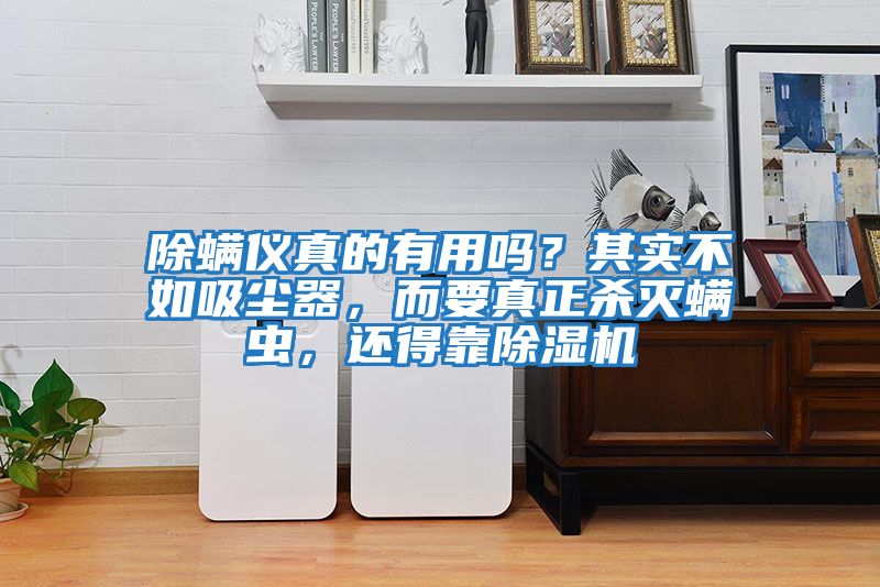 除螨儀真的有用嗎？其實不如吸塵器，而要真正殺滅螨蟲，還得靠除濕機