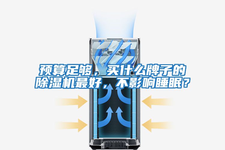 預(yù)算足夠，買什么牌子的除濕機(jī)最好，不影響睡眠？