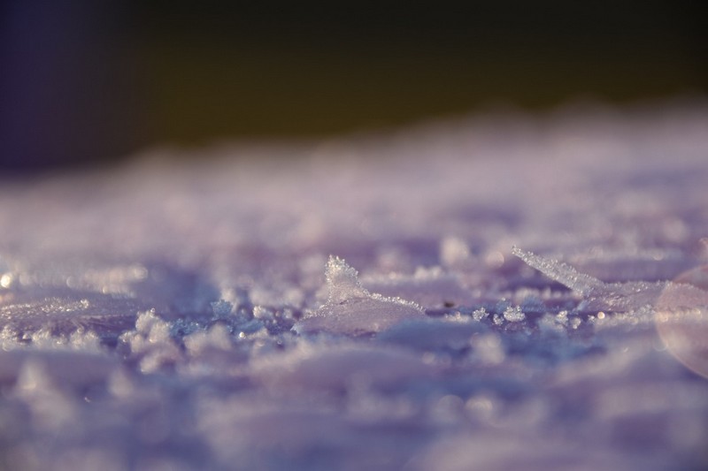 你知道除濕機為什么需要自動化霜嗎？ 冷凍式除濕機化霜功能