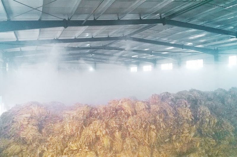 提升煙葉加工質(zhì)量，高效回潮很重要 煙葉除濕機