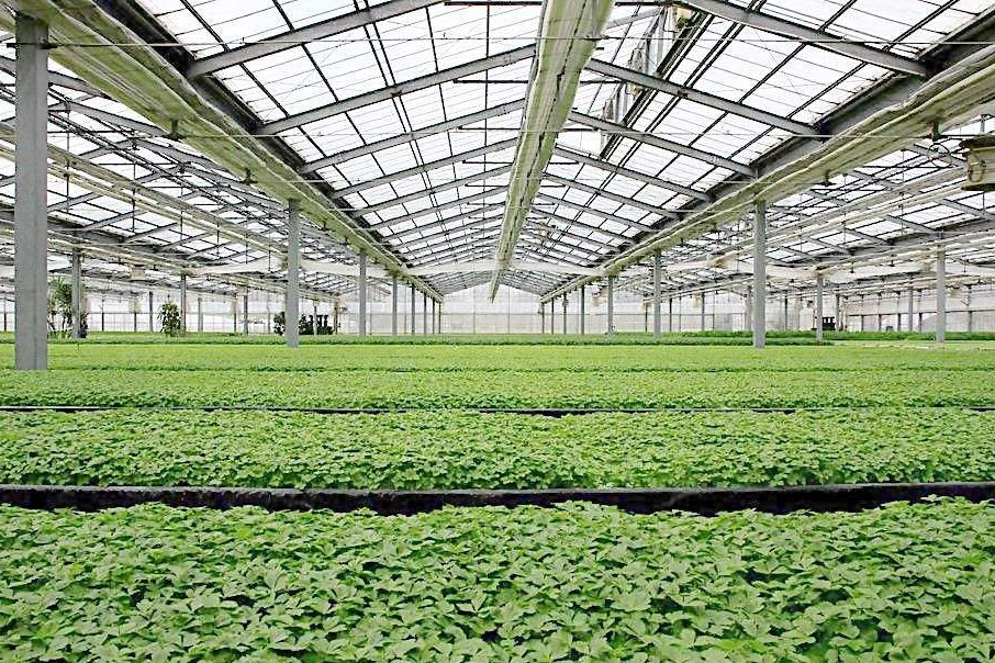 除濕器如何解決高濕度、多種危害的溫室除濕問題？